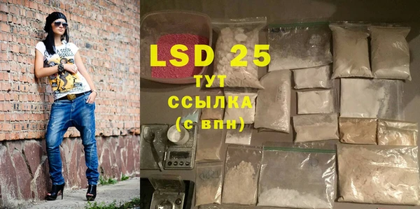 индика Новокубанск