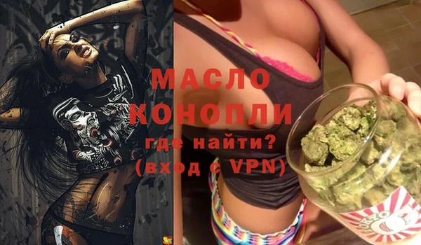 индика Новокубанск