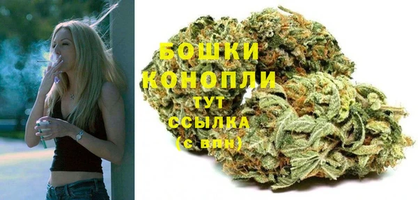 гашик Нея