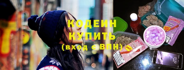 гашик Нея