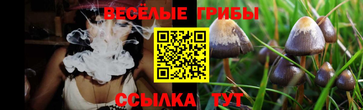 Псилоцибиновые грибы прущие грибы Кохма