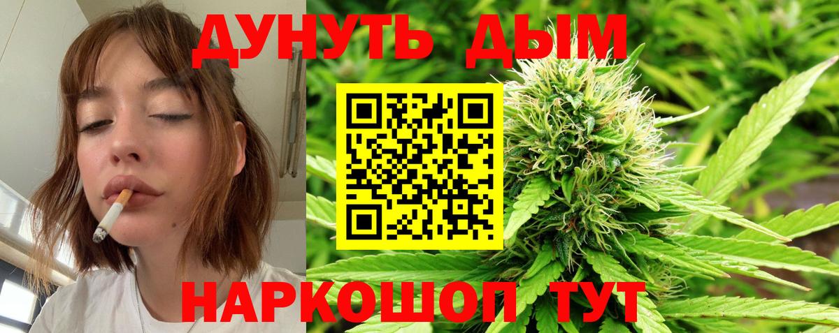 ГАШИШ Кохма